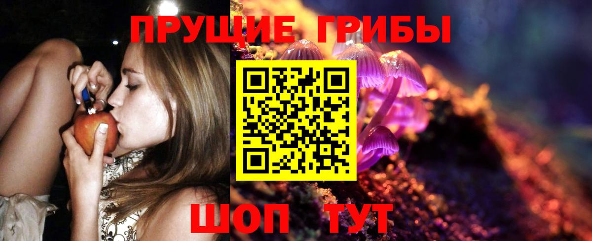 купить наркотики цена  Псилоцибиновые грибы мухоморы  Вход с VPN  Батайск 